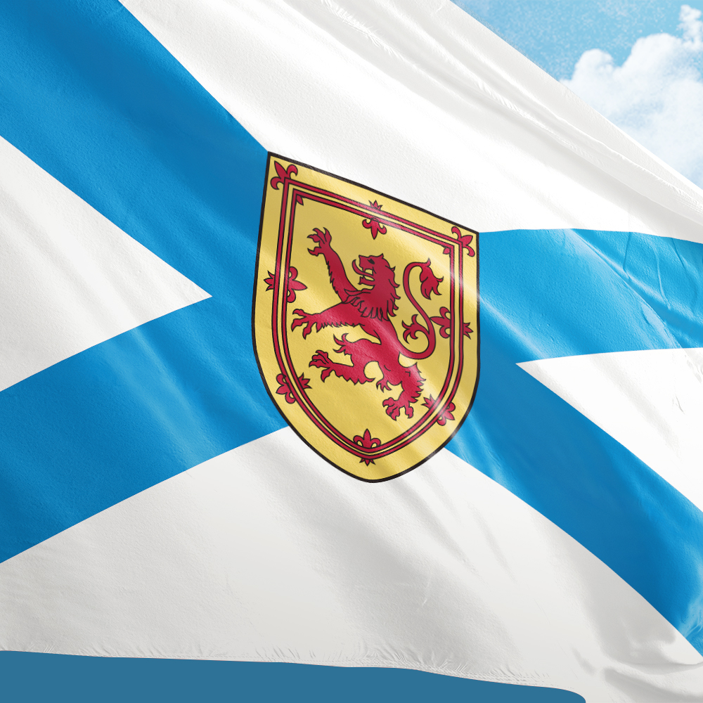 Canada Flag of Nova Scotia 3ft - Nova Decor & Lighting Julestjerne 评论和价格