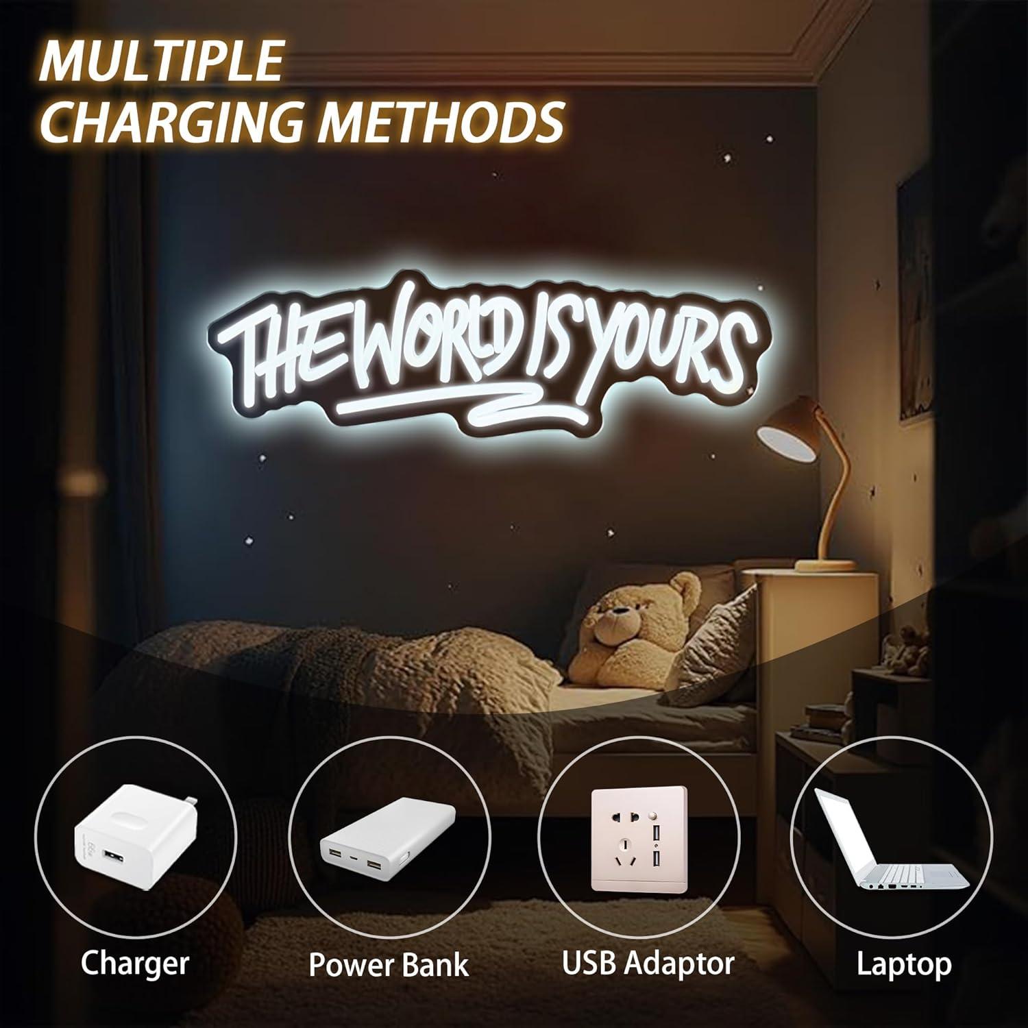 The World is Yours Neon Sign U - Lighting Decoration For Wedding 评论和价格