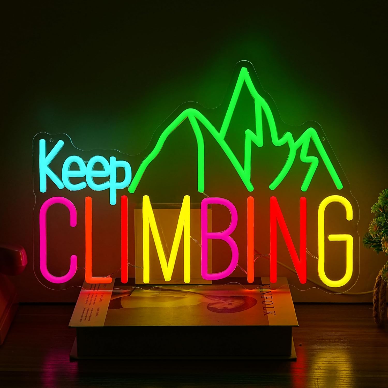 Keep Climbing Neon Sign USB Le - Garden Lighting Decor 评论和价格